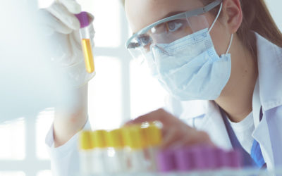 Short-Term Absorption Studies